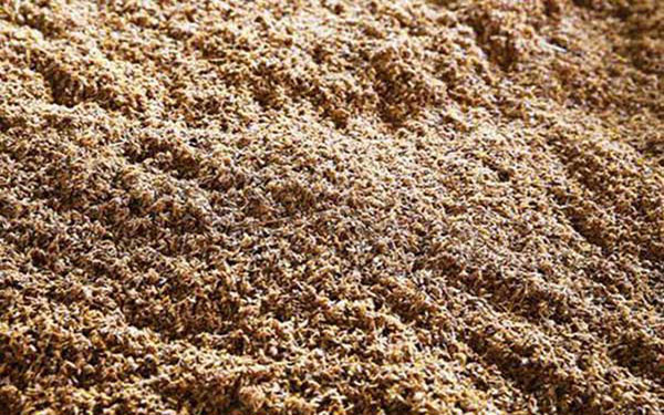 投資新型酒糟烘干機有哪些注意事項 投資新型酒糟烘干機有哪些注意事項